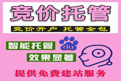 竞价推广实战经验：成功案例分享会